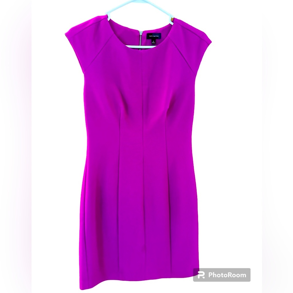 The Limited Cocktail Dress (Fuscha) - Size 2